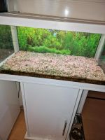 Aquarium mit schrank  Nur heute 80 euro Saarland - Neunkirchen Vorschau