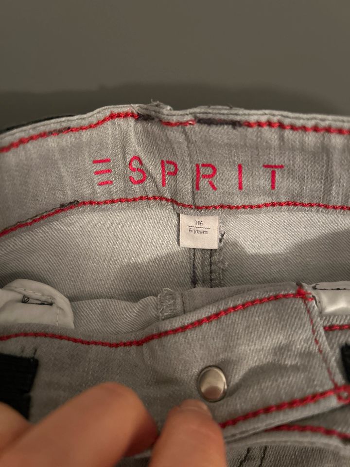 Graue Shorts von Esprit Gr. 116 in Telgte