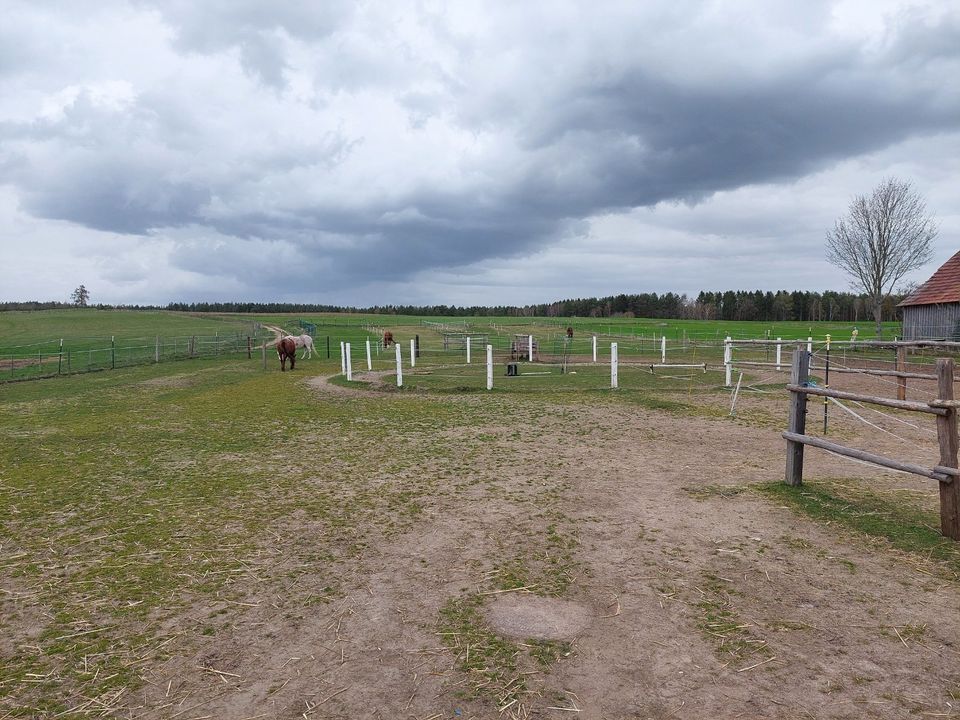 Österreich, Waldviertler Streckhof, Nebengebäuden, Pferdehaltung in Wahrenberg