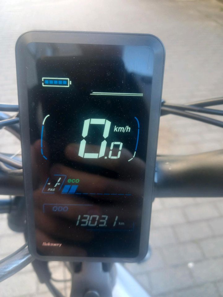 E bike bis 50 Kmh VB in Delitzsch