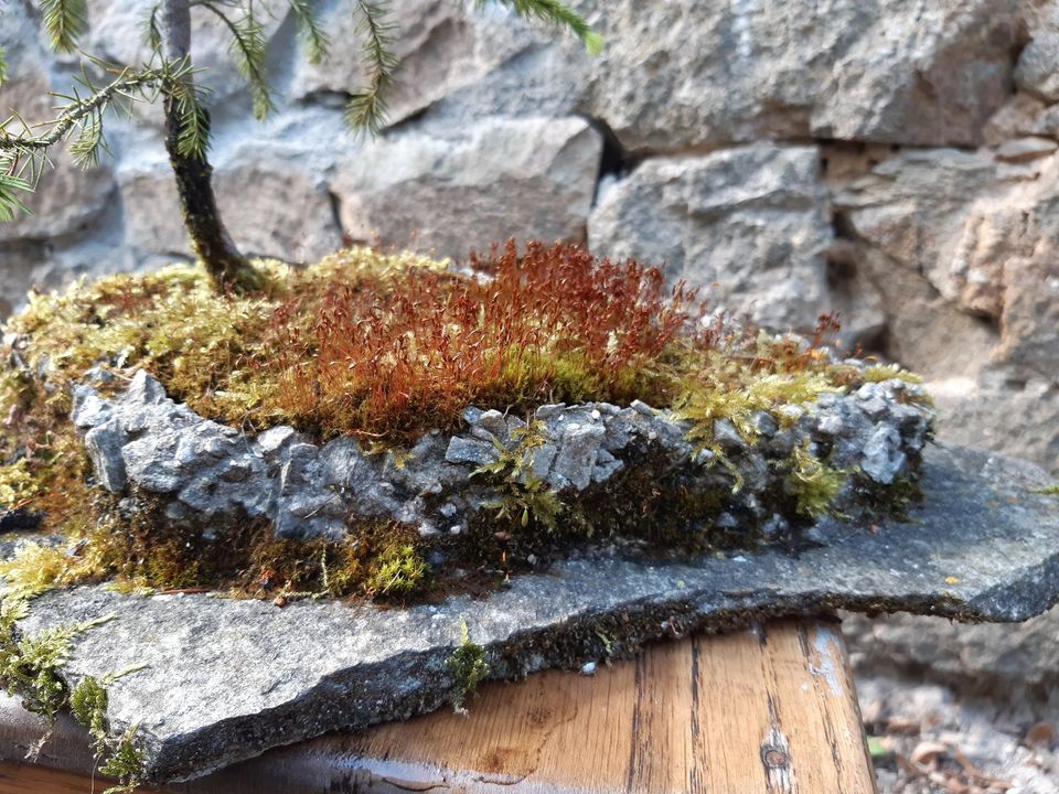 Handgefertigtes Pflanzgefäß, Bonsai-Topf in Gießen