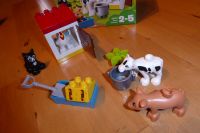 Duplo 10870 Farm Animals Schleswig-Holstein - Glückstadt Vorschau