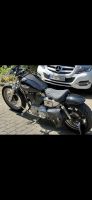 Harley Davidson Sportster 883 - 100th Anniversary - XLH Hugger Hamburg-Mitte - Hamburg Billstedt   Vorschau