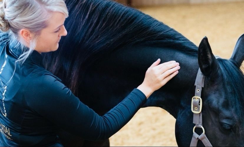 Tierphysiotherapie Pferd & Hund Dorntherapie & Akupunktur in Altenstadt