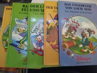 Kinderbücher Disney's Weltenbummler einzeln oder komplett Sachsen - Markranstädt Vorschau