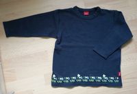 Pulli Pullover Sweatshirt Esprit Löwenzahn Pusteblume Gr 116/122 Aachen - Aachen-Mitte Vorschau