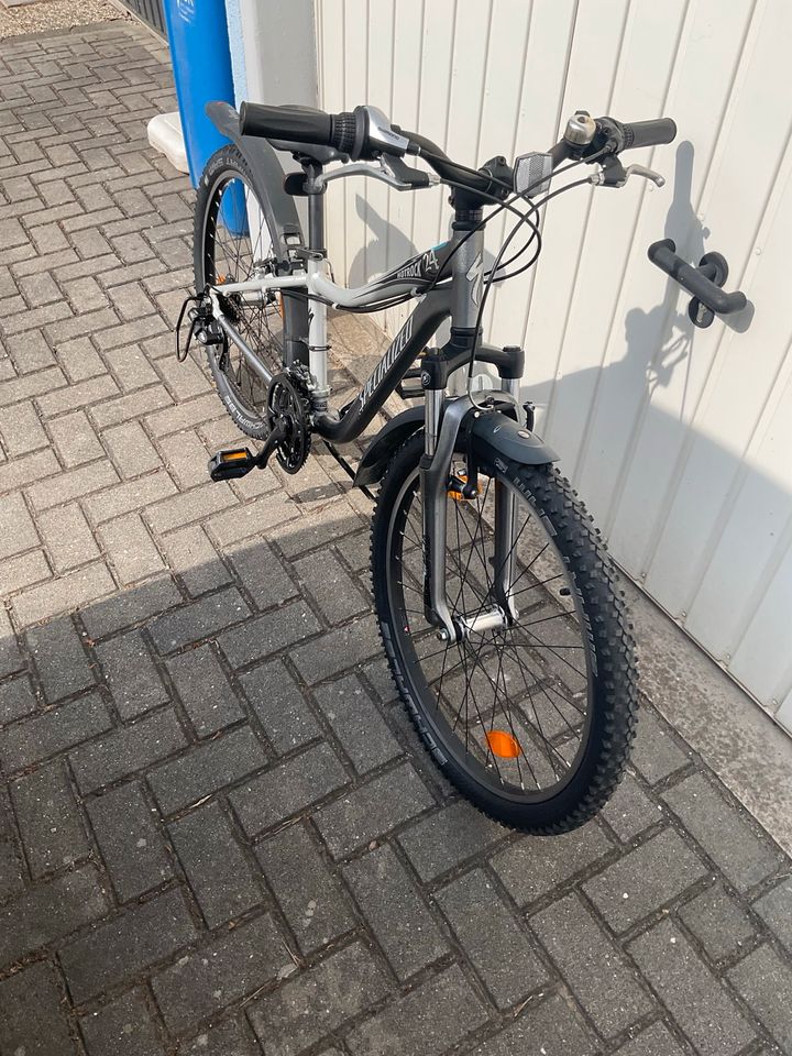 24 Zoll Specialized Hotrock 24 Mountainbike, 21 Gang, RH 32 cm in Straubing