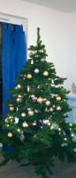 Großer hochwertiger Weihnachtsbaum Kreis Ostholstein - Neustadt in Holstein Vorschau