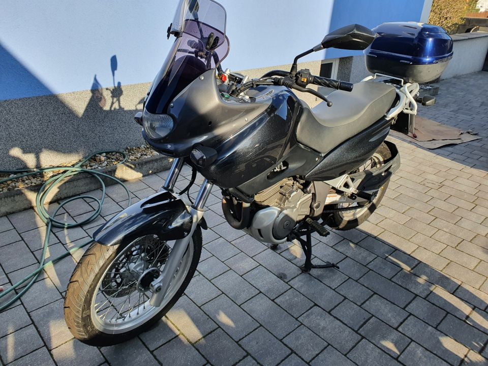 Suzuki XF 650 Freewind in Heideck