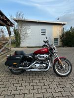 Harley-Davidson XL1200t Sportster superlow,MCJ Auspuff Rheinland-Pfalz - Reichenbach-Steegen Vorschau