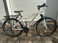 Haibike Ladies 26 Zoll Mountainbike Baden-Württemberg - Schwäbisch Hall Vorschau