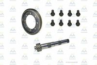 AM Gears 62176 Masiero Stirnrad 62:17 W.BOLTS passend VW 62176 Saarland - Illingen Vorschau