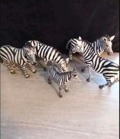 Schleich Zebra Stute Fohlen Pferde Schleswig-Holstein - Kiebitzreihe Vorschau