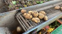 Kartoffeln Bayern - Meeder Vorschau