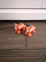 Lego Duplo Fuchs, 2 Mal vorhanden Rheinland-Pfalz - Neuwied Vorschau