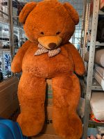 Teddybär zu verkaufen Niedersachsen - Nienburg (Weser) Vorschau