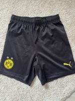 BVB Borussia Dortmund Sporthose kurze Hose Gr 152 wie neu Sachsen-Anhalt - Querfurt Vorschau