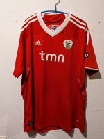 SL Benfica Lissabon Trikot Oscar Cardozo Hessen - Melsungen Vorschau