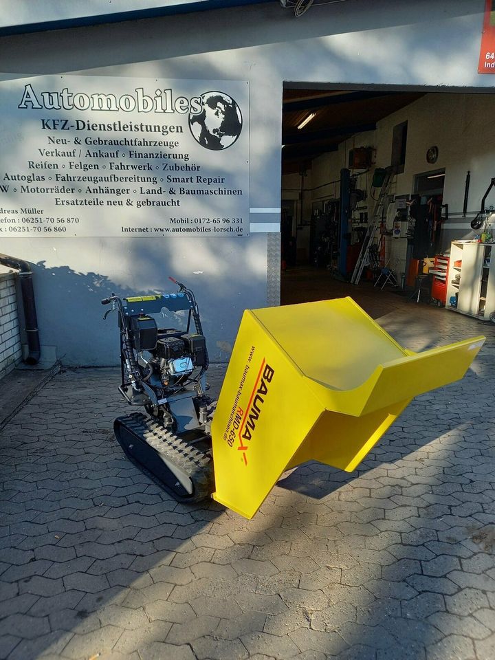 Baumax - Minidumper RMD 650 in Lorsch