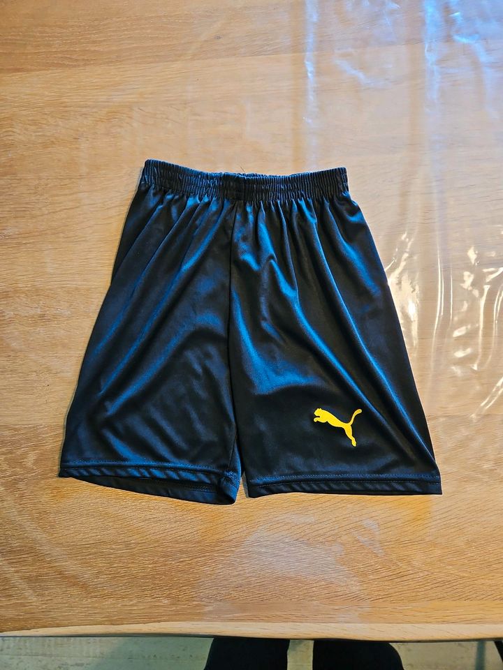 BVB Trikot Hose kurz Kinder Borussia Dortmund Gr. 164 schwarz in Georgsmarienhütte