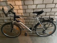 Fahrrad zu verkaufen Rheinland-Pfalz - Langenlonsheim Vorschau