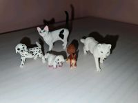 5 Tiere teilweise Schleich Thüringen - Saalfeld (Saale) Vorschau