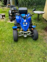 Quad Kreidler Mustang 200 Bastler Niedersachsen - Schwanewede Vorschau