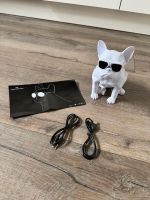 Wireless Lautsprecher Frenchie Französische Bulldogge Hessen - Freigericht Vorschau