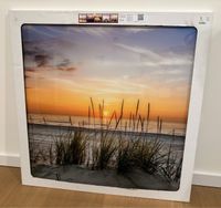 NEU Schönes großes Strandbild Glasbild 80 x 80 cm von PURELIVING Leipzig - Sellerhausen-Stünz Vorschau