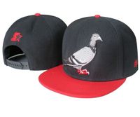 SUCHE Staple Pigeon snapback Mitchell Ness Starter Baden-Württemberg - Altshausen Vorschau