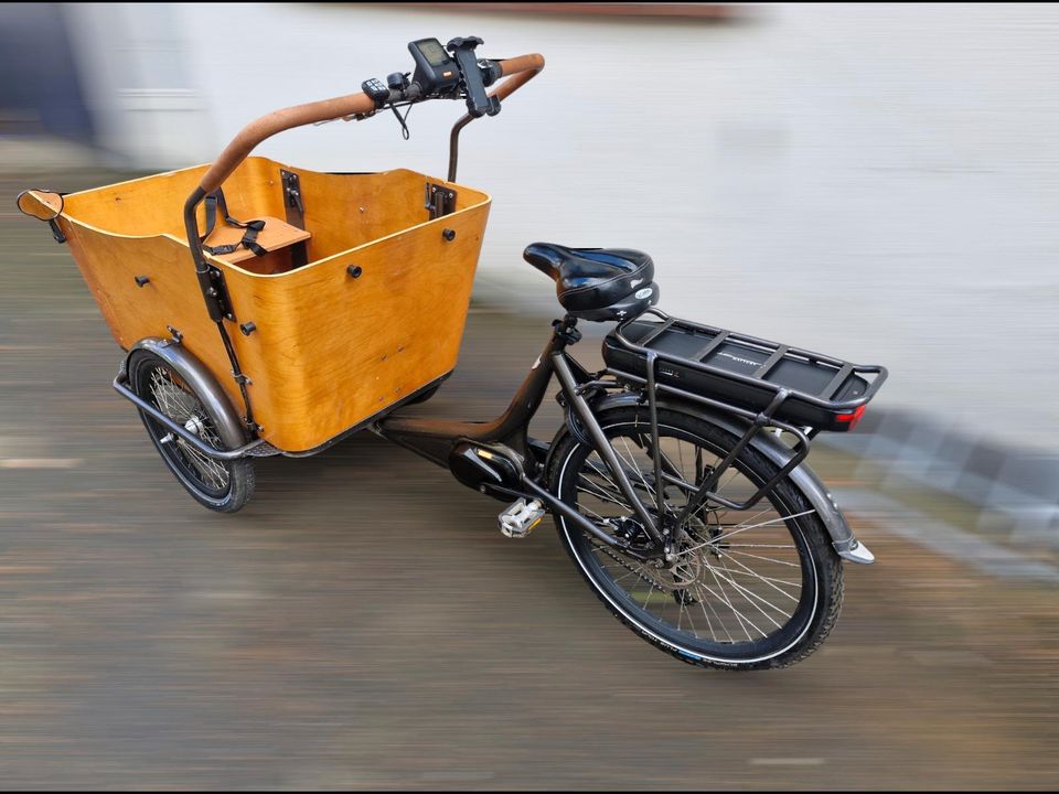 Ebike Cargo Babboe Curve 4 Kinder Bafang motor,  Garantie 1 Jahre in Kassel