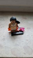 Pocahontas Lego Disney 100 Hessen - Einhausen Vorschau
