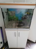 Aquarium mit Aussenfilter Heizung LED Digital Dimmer ca 110 Liter Nordrhein-Westfalen - Hamm Vorschau
