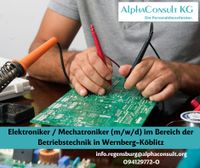 Elektroniker / Mechatroniker (m/w/d) Betriebstechnik Bayern - Wernberg-Köblitz Vorschau