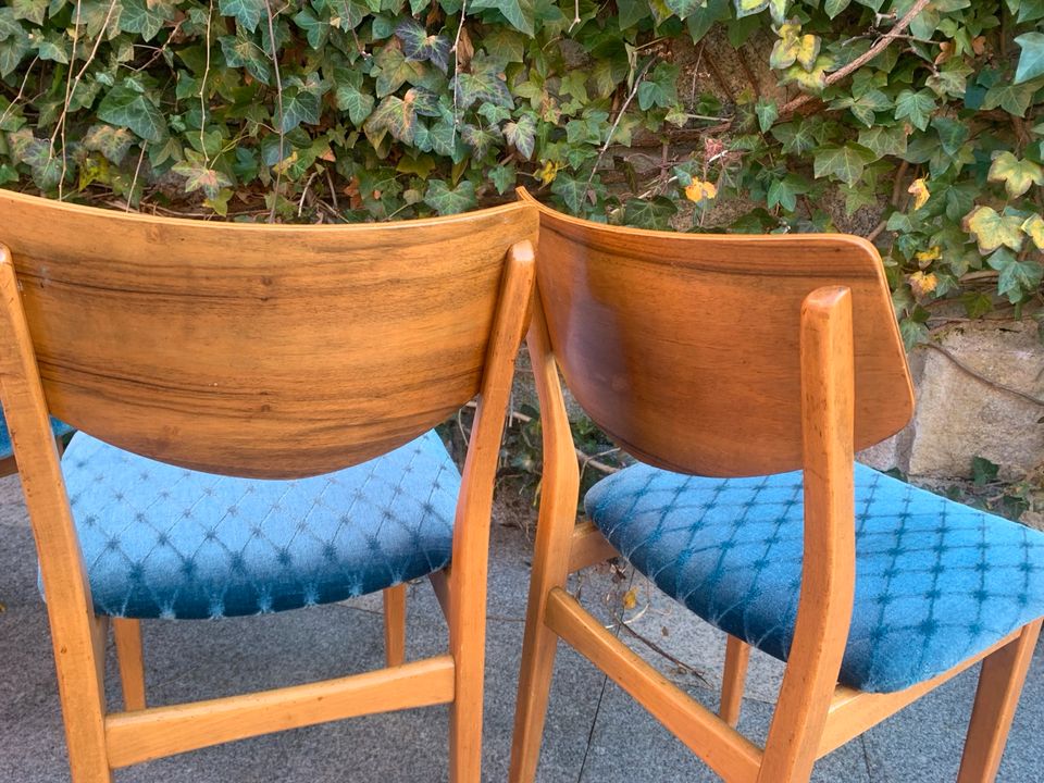 4 Mid Century Teakholz Stühle von Benze, 1960er in Tübingen