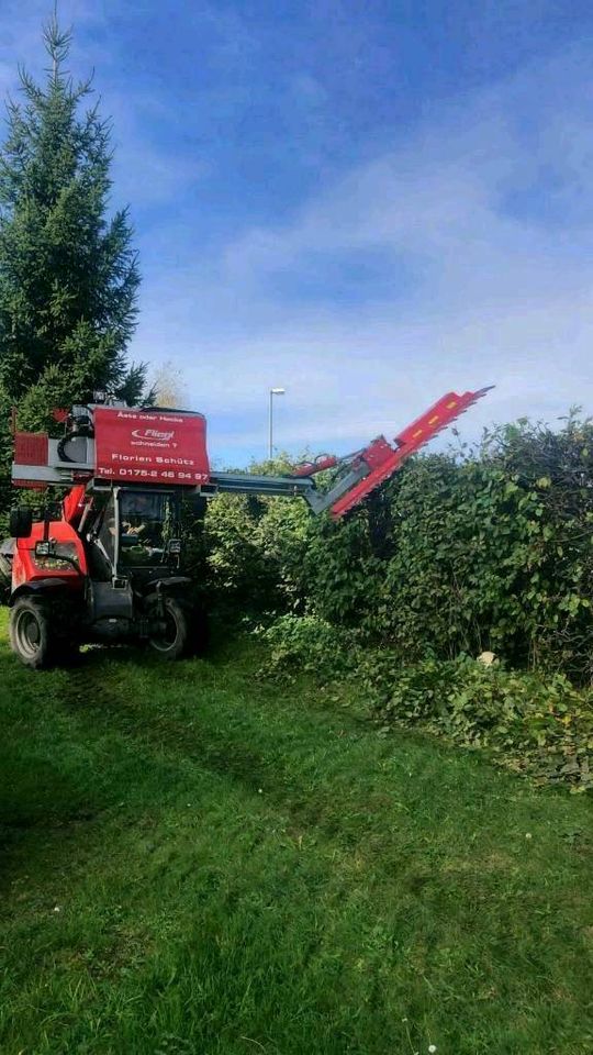 Hecke  Weg frei schneiden Heckenschere Ast sägen Heckenschnitt in Kempten