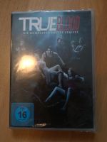 DVD "true blood" (komplette 3. Staffel), neu Aachen - Aachen-Mitte Vorschau