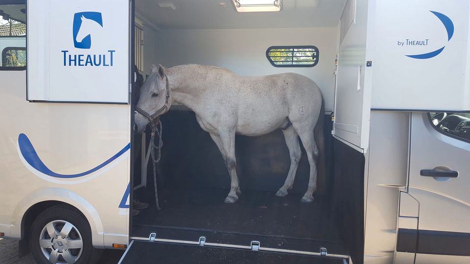 Pferdetransport/ Pferdetaxi aus Solingen in Solingen