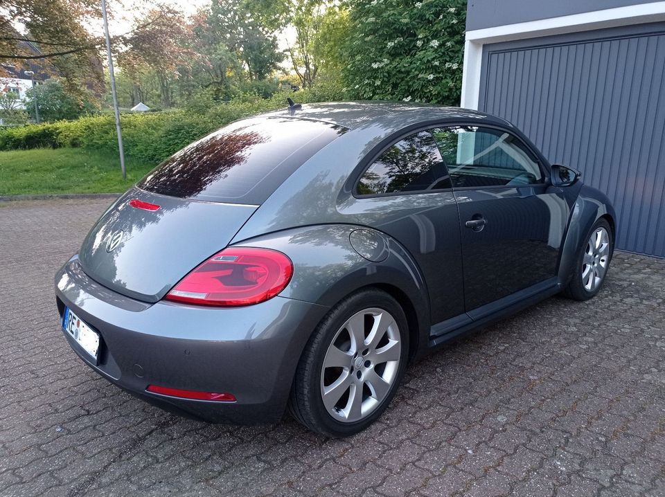 Volkswagen Beetle 1.6 TDI Design Design in Recklinghausen