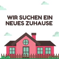 Wir suchen Haus/Wohnung zum kaufen oder mieten Nordrhein-Westfalen - Coesfeld Vorschau