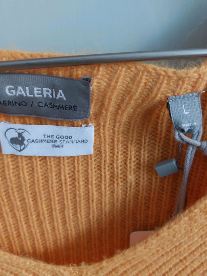 Pullover Merinowolle/Cashmere neu Gt. 44 in Schloß Holte-Stukenbrock