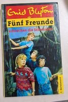 Die fünf Freunde Band 1 Hardcover Kinderbuch Rheinland-Pfalz - Üttfeld Vorschau