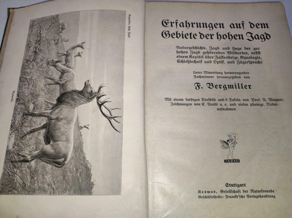 Erfahrungen auf dem Gebiete der hohen Jagd 1912 in Floh-Seligenthal-Kleinschmalkalden