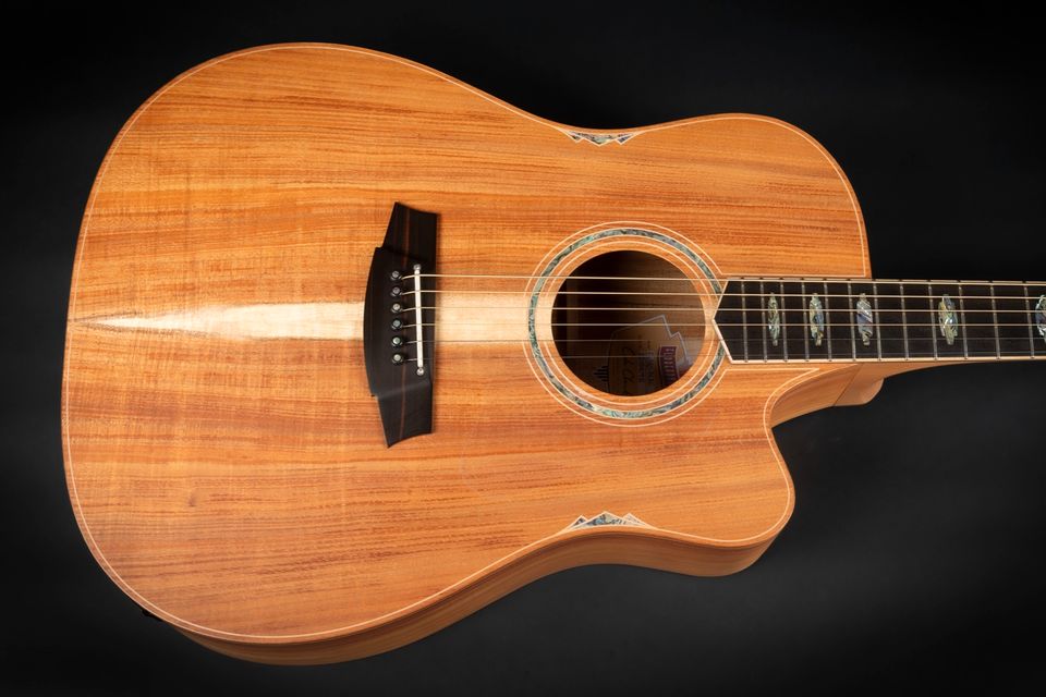 2022 Cole Clark FL3EC-BLBL Tasmanian Blackwood Abalone Pickup in Niebüll