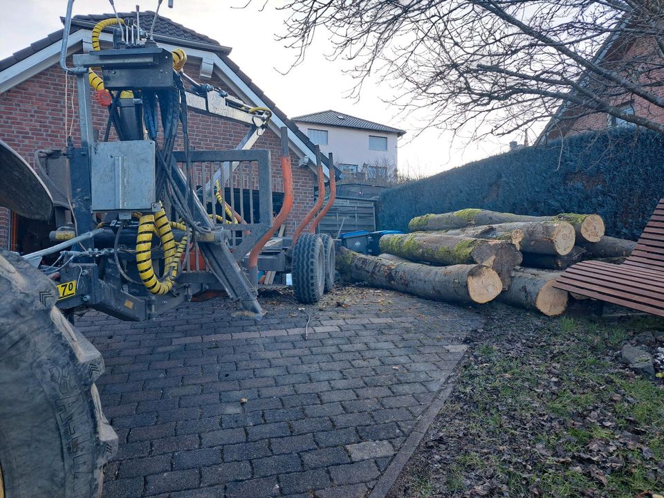 Holzeinschlag brennholz kegelspalter forstdienstleistungen in Bermel