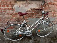 Damenrad Halbrenner Cityrad Fahrrad 28 Zoll 6 Gang Shimano Schleswig-Holstein - Norderstedt Vorschau