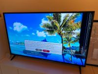 LG 55“ LED Fernseher mit Displayschaden Niedersachsen - Vechelde Vorschau