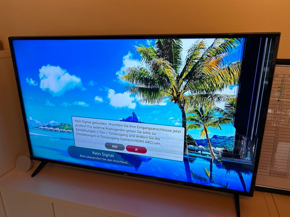 LG 55“ LED Fernseher mit Displayschaden in Vechelde