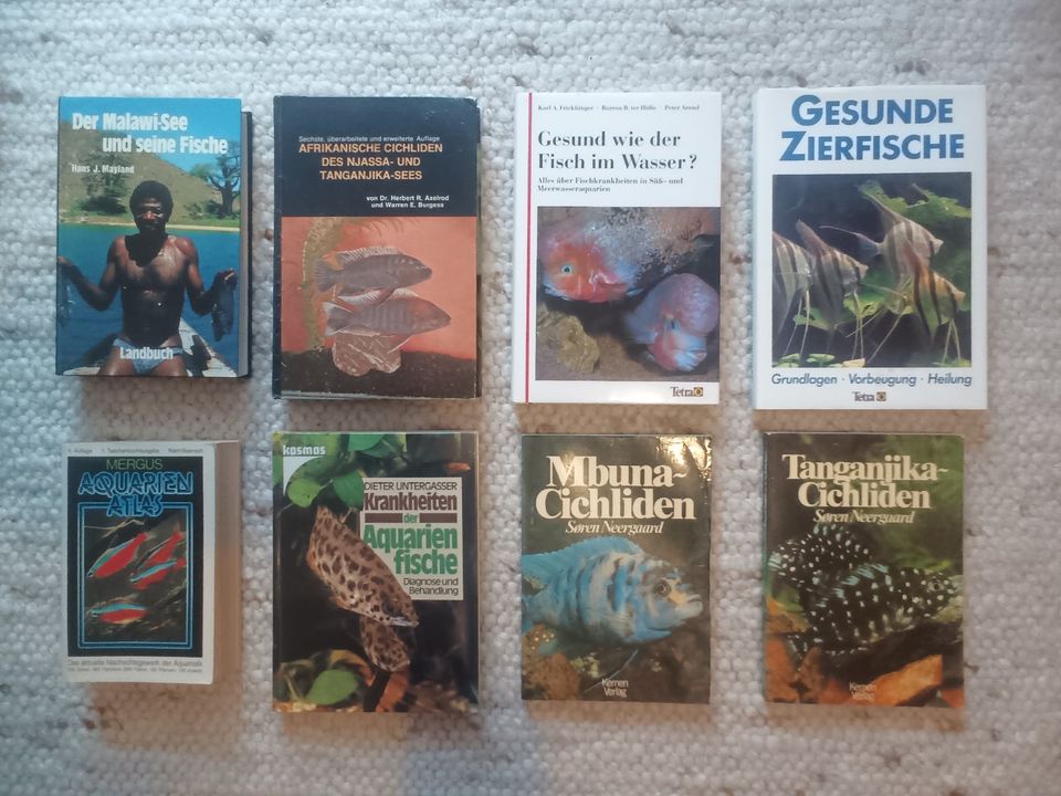 8 Bücher Aquaristik Zierfische Buntbarsche Pflege Gesundheit in Bietigheim-Bissingen