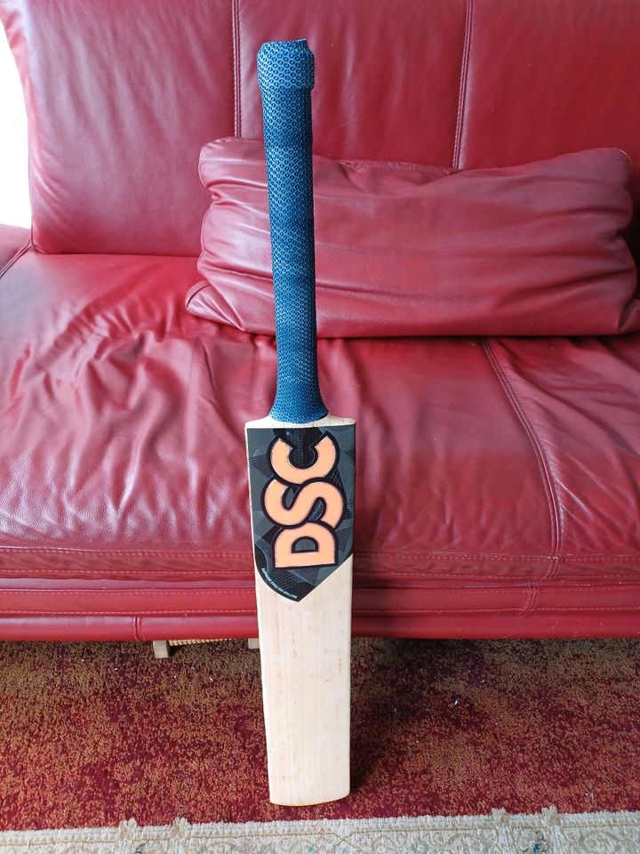 English willow Cricket bat SH in Dreieich